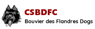 CSBDFC